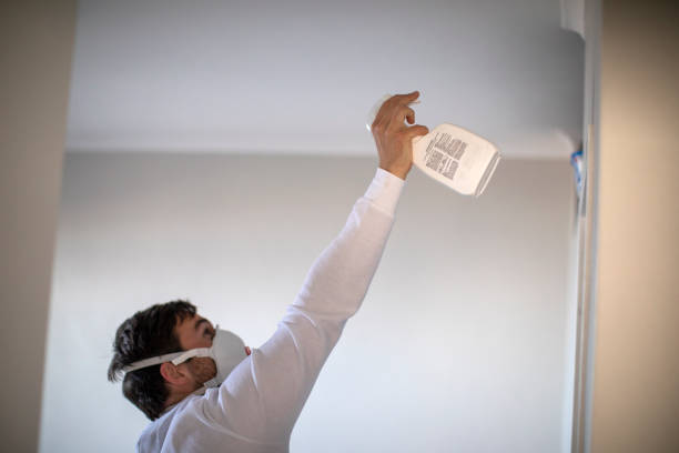 Mold Testing and Removal in Springville, AL